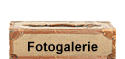 Fotogalerie