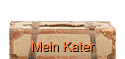 Mein Kater